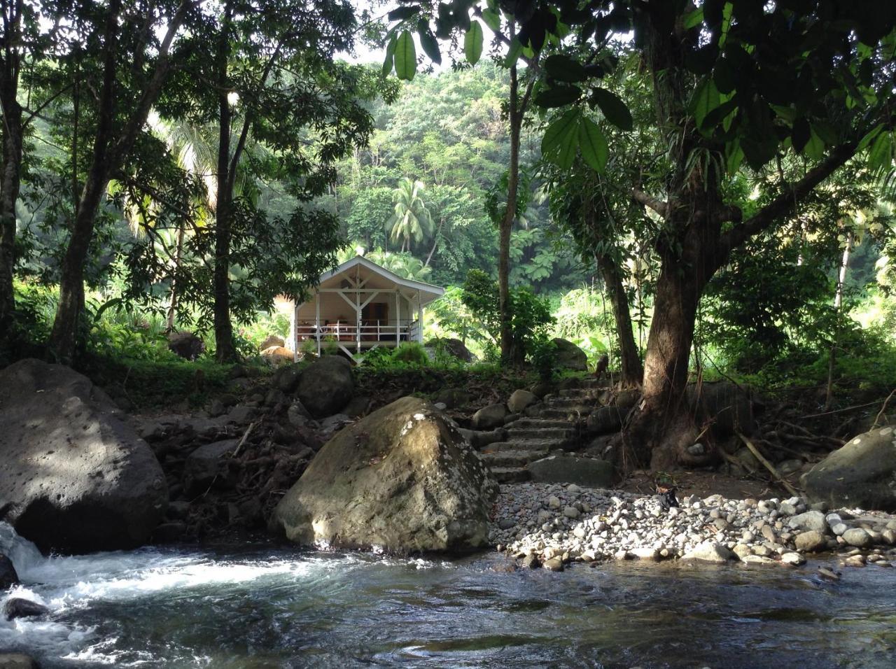 Villa Citrus Creek Plantation La Plaine Exterior foto